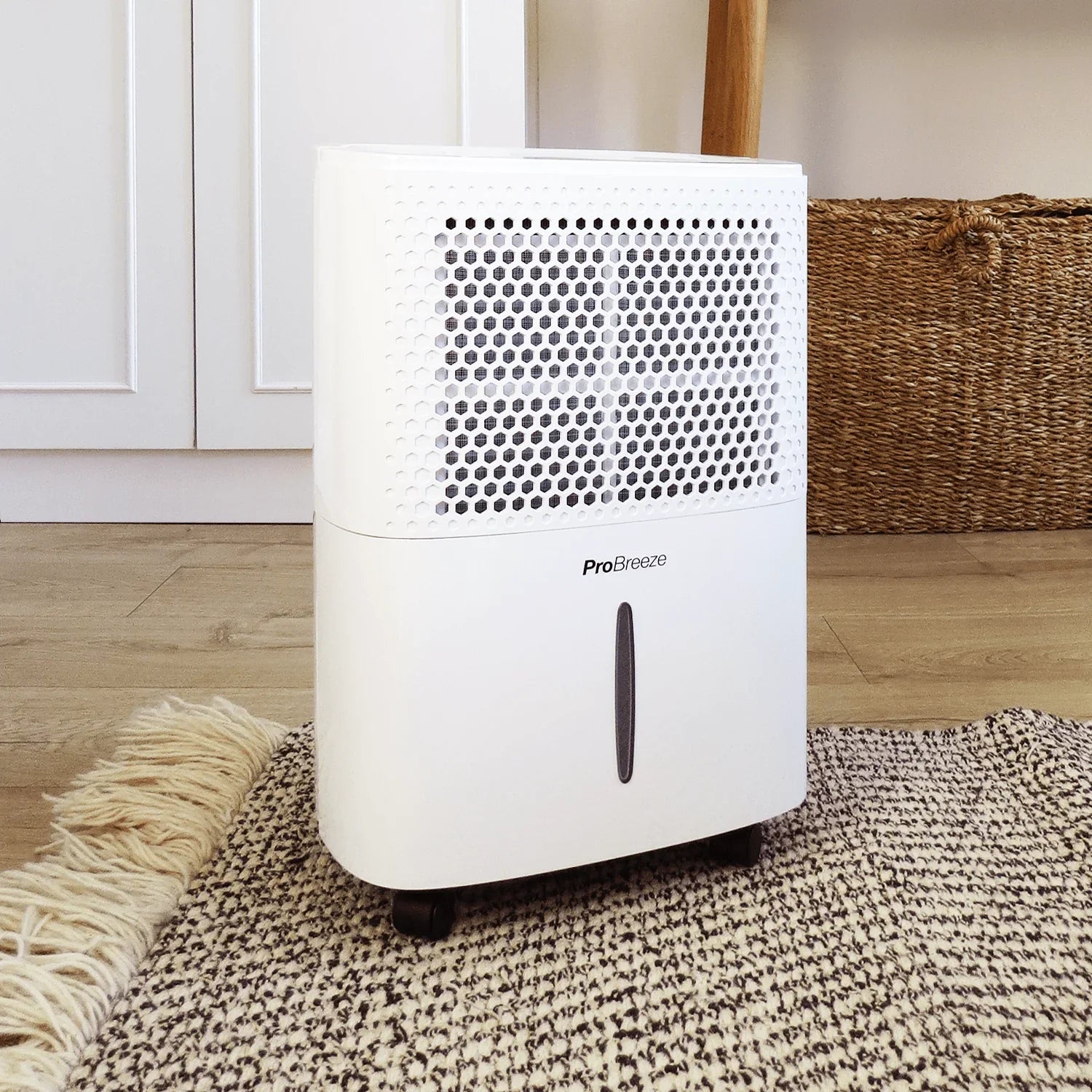 12L Dehumidifier with Built-in Humidistat